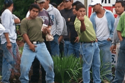 Illegal aliens to not appear to be too intimidated by harshly-worded letters from Obama