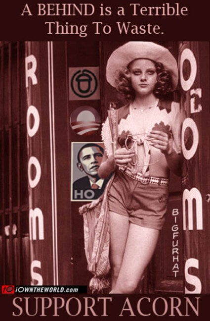 acorn-poster