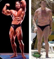 arnold_schwarzenegger Governor Arnold Schwartzenegger personifies the sad decline of the state of California