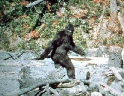sasquatch bigfoot