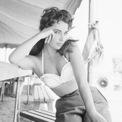 We prefer to think of Elizabeth Taylor as young and hot rather than old and crazy