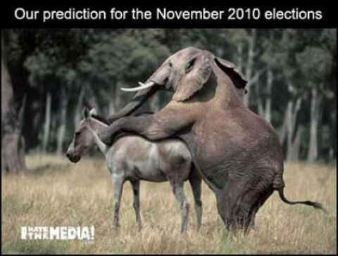 election-prediction-elephant-screws-donkey election prediction 2010 elephant screws donkey