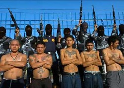 mexican_gang2 Members of an illegal alien social club on their way to pick crops in California's fields
