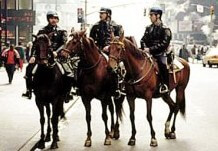 nypd_horses Never trust a NYPD horse. They are notorious liars.