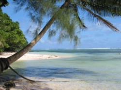 Chinese Muslim terrorists will spend the rest of their days lounging on the beaches of Palau
