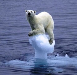 Polar bears are united in opposition to Iranian democracy