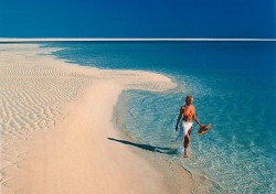 Australia beach The last living Australian takes a stroll on the beach before dying of swine flu