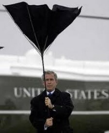 bush-umbrella bush-umbrella