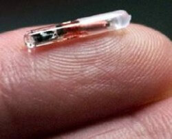chip_implant The "killer chip" (also known as "the Napolitano Chip" at the Department of Homeland Security)