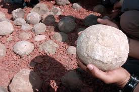 dinosaur-eggs dinosaur-eggs