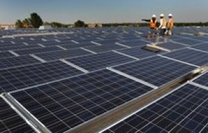 evergreen-solar evergreen-solar