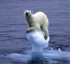 global-warming Think of yourself as the polar bear, tenuously clinging to life on a dying planet. Waaaaa.