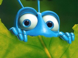 NDM-1 indian super bug indian-super-bug