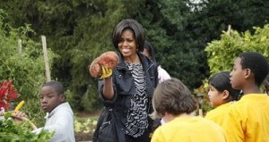 michelle-potato-harvest michelle-potato-harvest